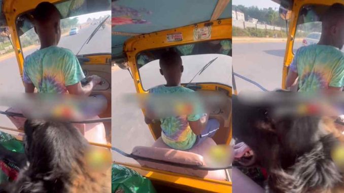 "Owner of home no gree feel at home" – Keke Rider Left Sh@ken by Passenger's Wild Dog (VIDEO)