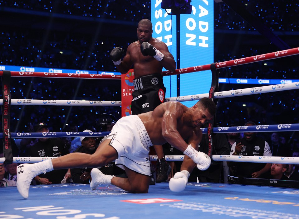 AJ was KO'd by Dubois in the fifth round of their Wembley battle