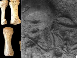 Secret behind strange skeleton made of bones from FIVE different people who lived 2,500 years apart is FINALLY revealed