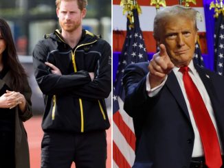 Meghan and Harry should be VERY worried – Donald Trump is unpredictable & WON’T hold back in visa row, expert says – The Scottish Sun