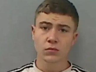 Teen locked up after summer riots freed after the Court of Appeal suspends his sentence