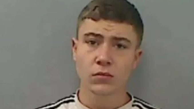 Teen locked up after summer riots freed after the Court of Appeal suspends his sentence