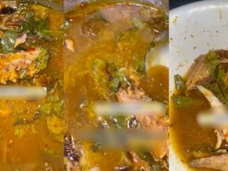 "I can see through the soup and even count the Oha leaves inside it" – Lady left speechless by partner's unappet!zing Oha soup (VIDEO)