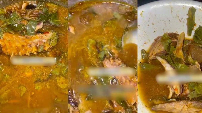 "I can see through the soup and even count the Oha leaves inside it" – Lady left speechless by partner's unappet!zing Oha soup (VIDEO)