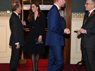 Princess Kate arrives at 1st Royal event since finishing chemo as she joins William & Charles at Festival of Remembrance