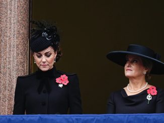 Lip reader reveals everything Princess Kate said to her ‘true confidante’ Sophie on balcony for Remembrance Sunday – The Scottish Sun