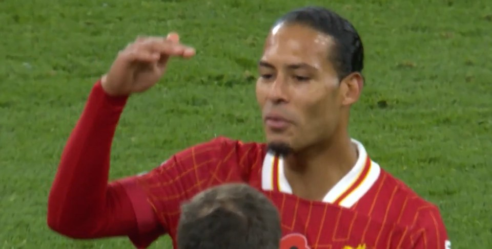 Virgil van Dijk was fuming over the way the Villa star went down