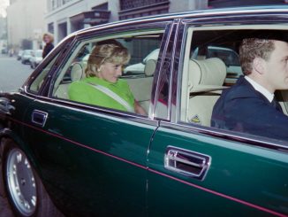 Princess Diana's ex-chauffeur breaks 30 year silence to claim she'd be alive if he'd been driving on night she died