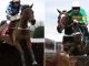 Star chasers Jonbon and Edwardstone set to renew rivalry in Shloer Chase at Cheltenham