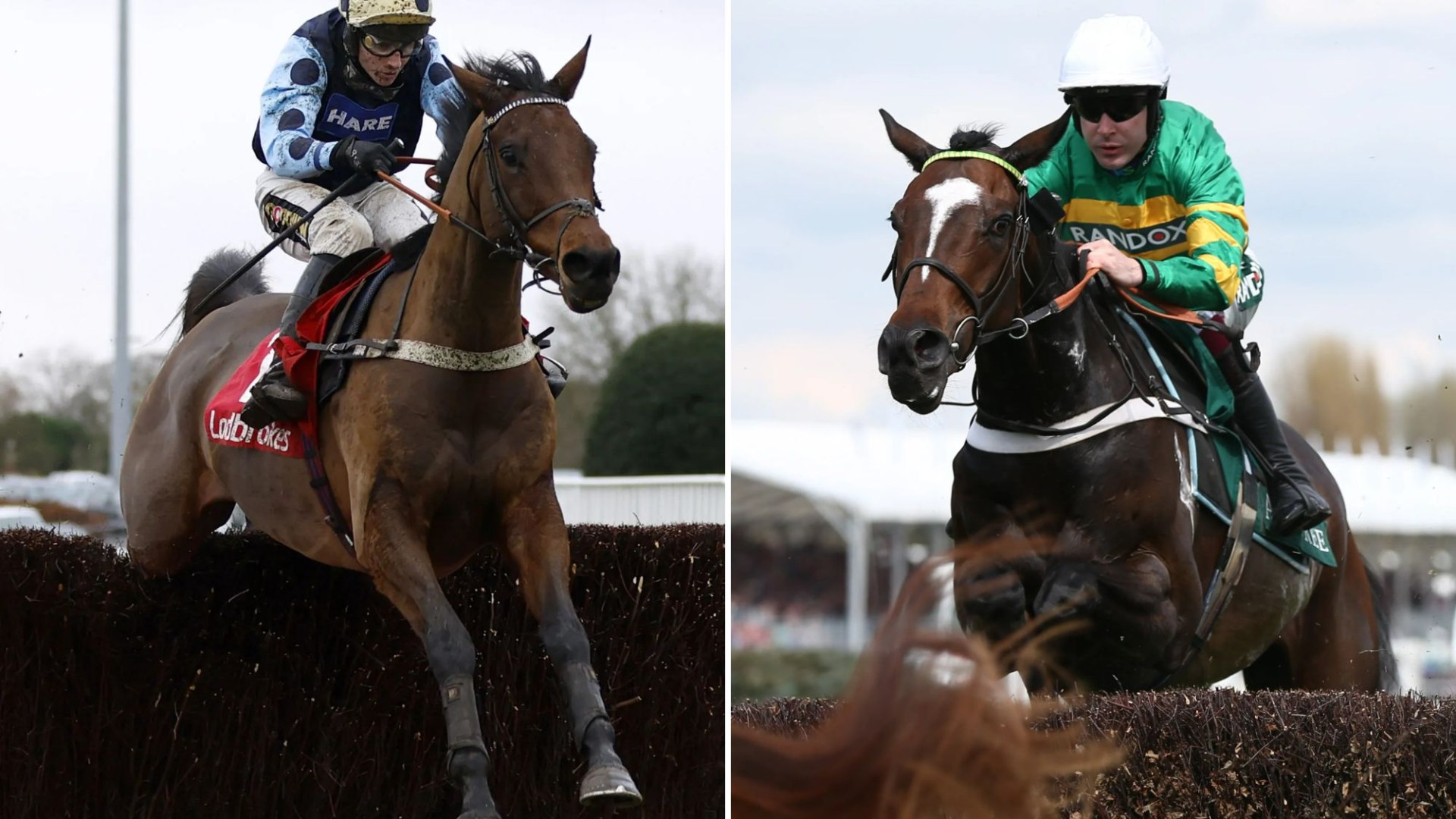 Star chasers Jonbon and Edwardstone set to renew rivalry in Shloer Chase at Cheltenham