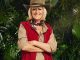 Why I've finally agreed to take the plunge in the I'm A Celeb jungle - and what I fear will be my biggest challenge