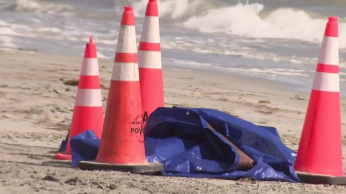 Mystery as human HEAD is found washed up on popular Florida tourist beach by horrified worker – The Scottish Sun