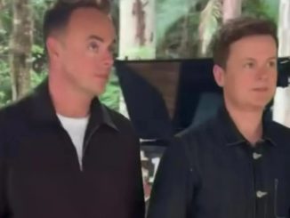 Watch the moment shocked Ant and Dec fall to the ground as they see I'm A Celeb jungle for first time in Australia