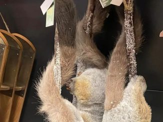 Shoppers left divided by Home Bargains’ £3.99 ‘super cute’ Christmas tree decorations people think ‘look like dead rats’