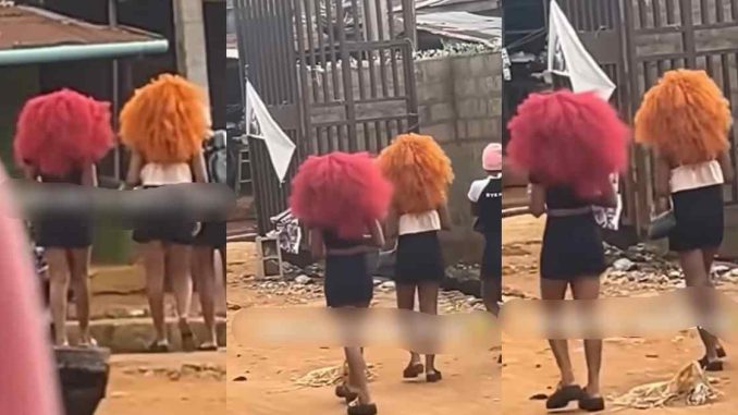 "Mufasa and Sc@r dey waka" – Ladies' rock lion 'mane' wig on the street, sp@rks laughter (WATCH)