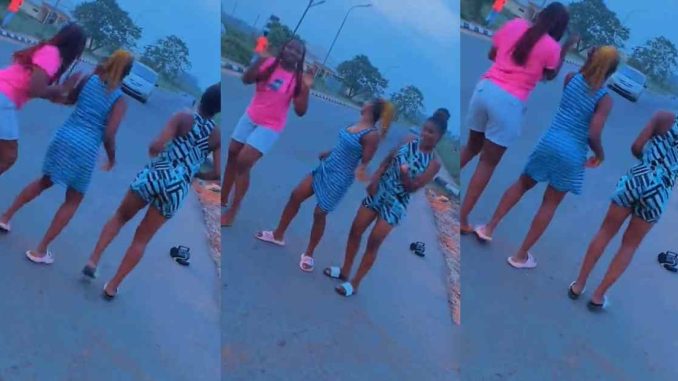 Ladies flǝǝ as a driver intentionally d!srupts their video shoot on the road (WATCH)