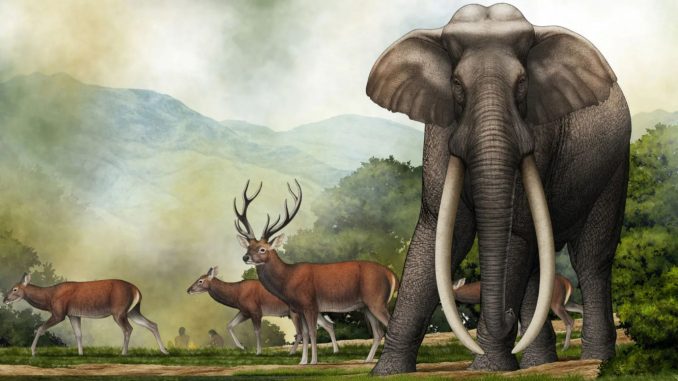 Ancient giant elephant graveyard proves colossal creatures were REAL and roamed Earth 300,000 years ago, say scientists