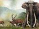 Ancient giant elephant graveyard proves colossal creatures were REAL and roamed Earth 300,000 years ago, say scientists