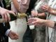 I was mortified when guests were served my breastmilk at a wedding - I will never get over seeing the groom downing it