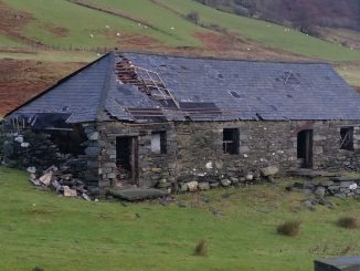 I ploughed my life savings into buying derelict cowshed and turning it into my dream home - with incredible results