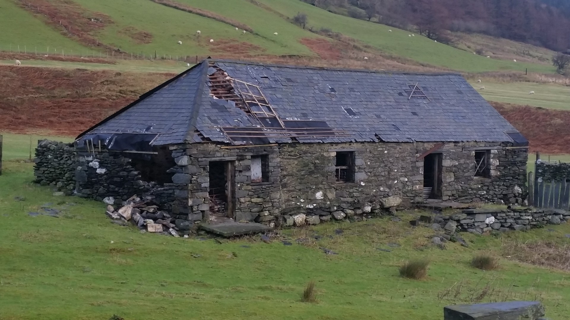 I ploughed my life savings into buying derelict cowshed and turning it into my dream home - with incredible results