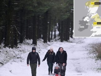 Met Office snow map reveals where Arctic chill will hit TODAY as cold health alerts begin & mercury plunges to -3C