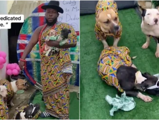 Man throws dedication ceremony for his 12 puppies in matching outfits