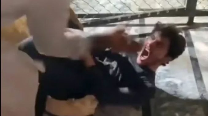 Watch moment lion attacks screaming man after he tried to take SELFIE with beast as pals desperately try to fight it off