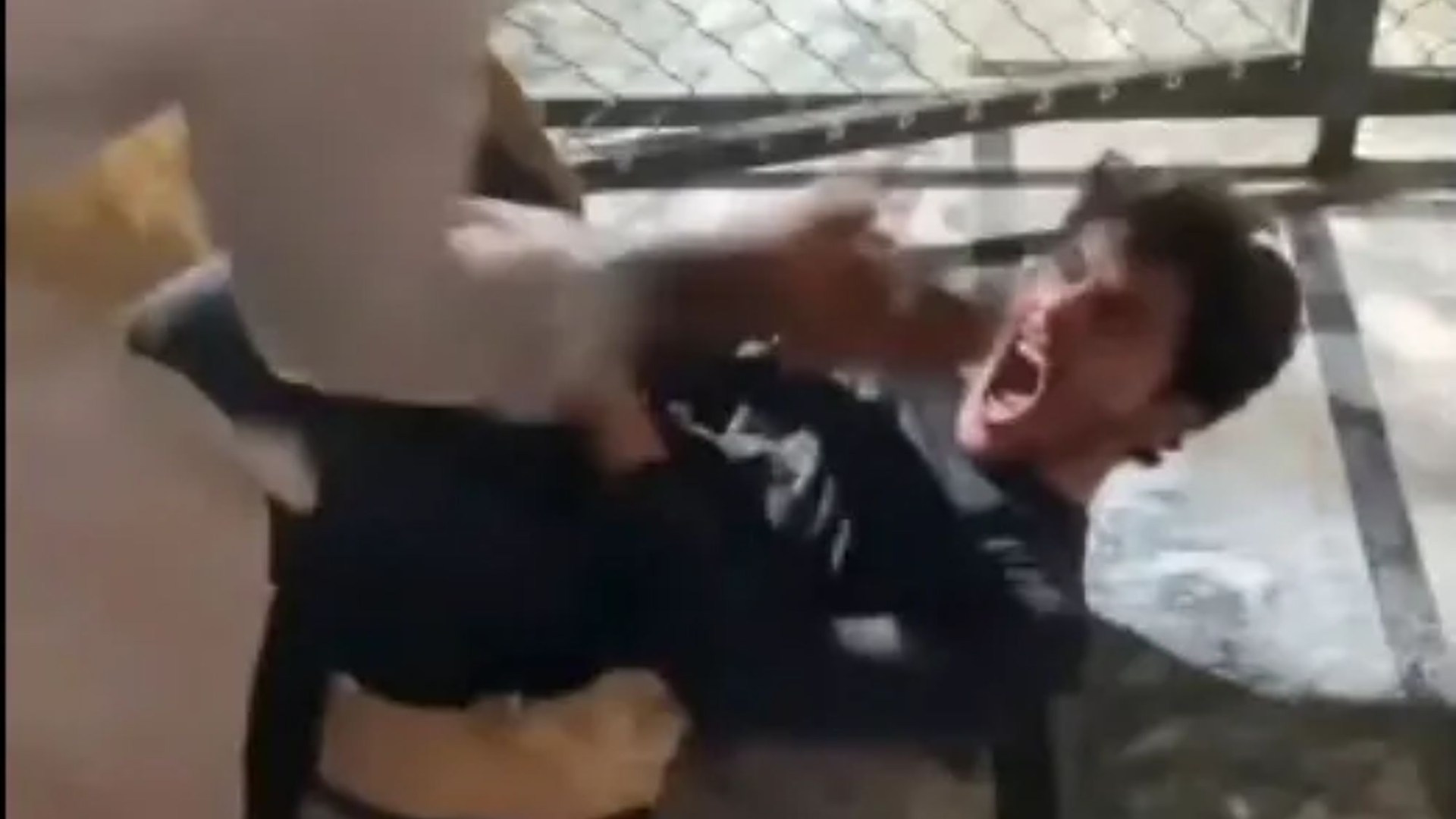 Watch moment lion attacks screaming man after he tried to take SELFIE with beast as pals desperately try to fight it off