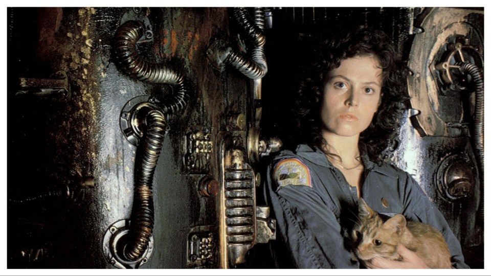 Now Kit is starring in a TV series based on the original Alien movie with Sigourney Weaver.