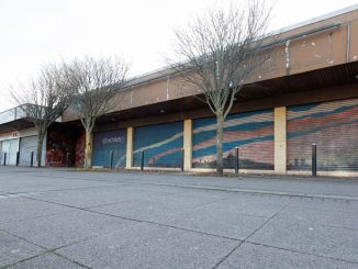 Ghost shopping street could be bulldozed to make way for more than 100 new homes