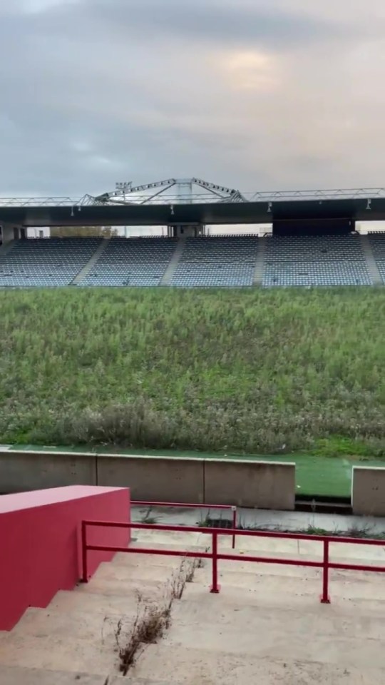 The pitch has become completely overgrown