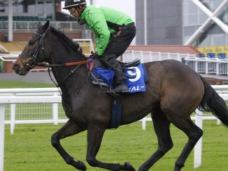 Constitution Hill's odds DRIFT for Fighting Fifth and Champion Hurdle after being 'pushed and shoved along' in workout