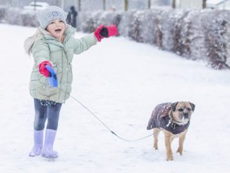 Schools closed across Scotland as weather map reveals more snow warnings TODAY