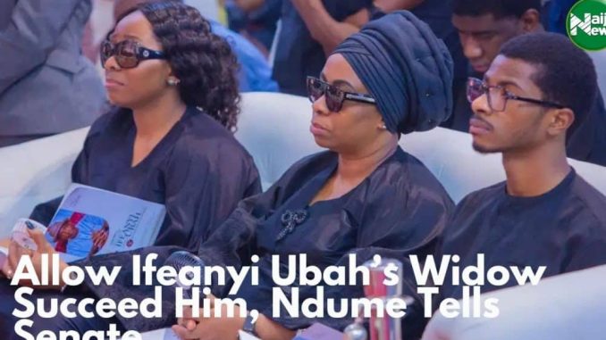 Allow Ifeanyi Ubah’s Widow Succeed Him, Ndume Tells Senate