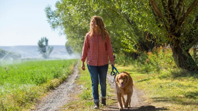 Huge rule change for dog walkers in parks could see thousands of pet owners BANNED – are you one of them? – The Scottish Sun