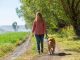 Huge rule change for dog walkers in parks could see thousands of pet owners BANNED – are you one of them? – The Scottish Sun