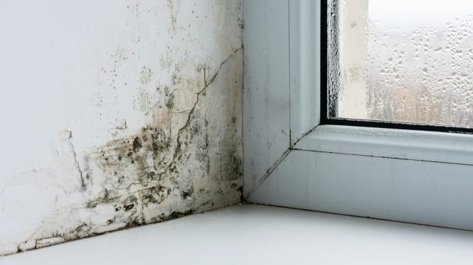 The easy way to stop condensation and mould in its tracks - and it doesn’t cost a penny