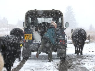 Met Office shares amber warning list of six areas in Scotland to be worst hit with snow and 70pmh winds