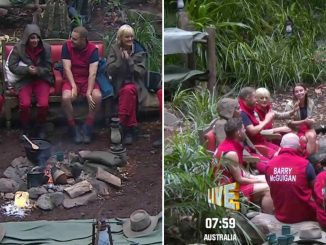 I'm A Celeb fans say campmate 'deserves an Oscar' after 'faking tears' and putting on award-winning performance