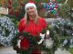 I bought artificial Christmas wreaths from bargain shops to find the best - the gorgeous £6 winner looked real