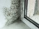 I'm an interior expert - the perfect temperature to keep your home to prevent condensation