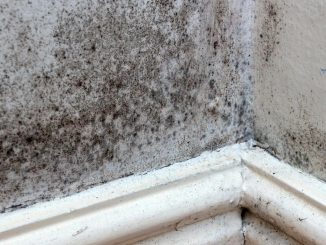 The simple home hack to stop mould from ever coming back, according to Brits who have tried and tested it