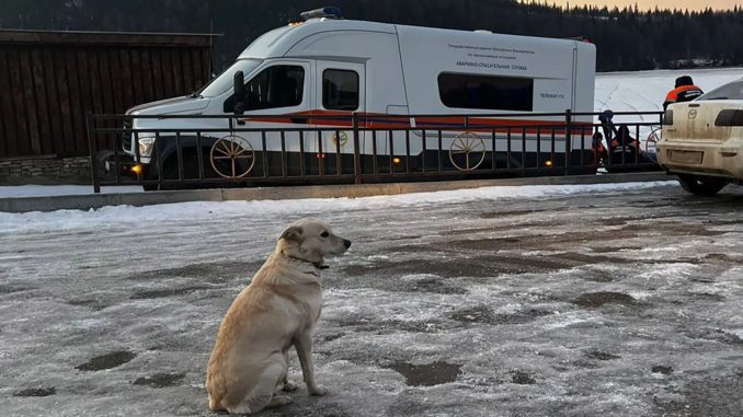 Heartbreaking moment loyal dog waits for FOUR DAYS for return of owner who’d fallen through ice and drowned