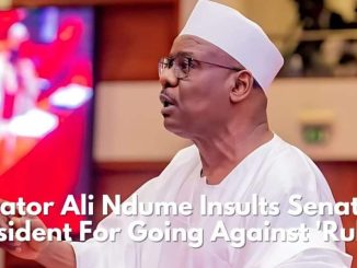 Tax Reform Bill: Senator Ndume Tackles Deputy Senate President For Going Against ‘Rules’