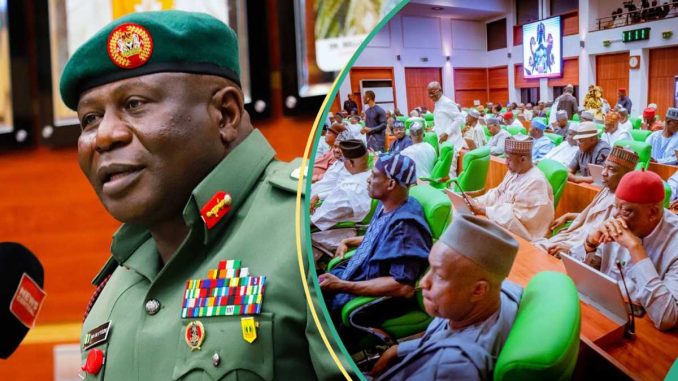 Just In: House of Reps Confirms Oluyede as Chief of Army Staff, Details Emerge