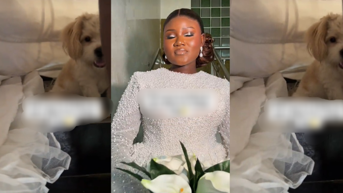 "The dog came for the wedding" – Nigerian bride's clingy dog hid underneath her bridal dress on wedding day (WATCH)