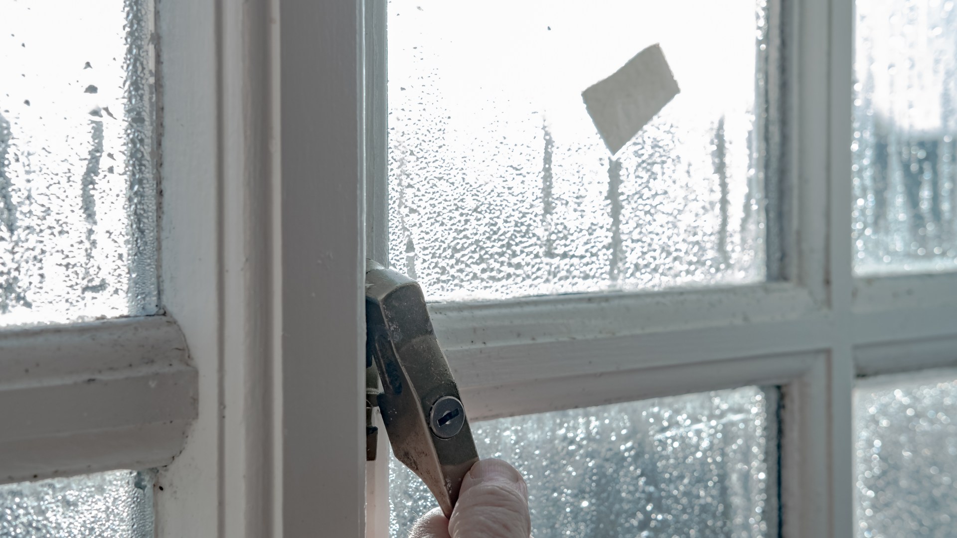 I’m a gardening expert - here’s the £6 buy you need in your bathroom to get rid of damp and condensation