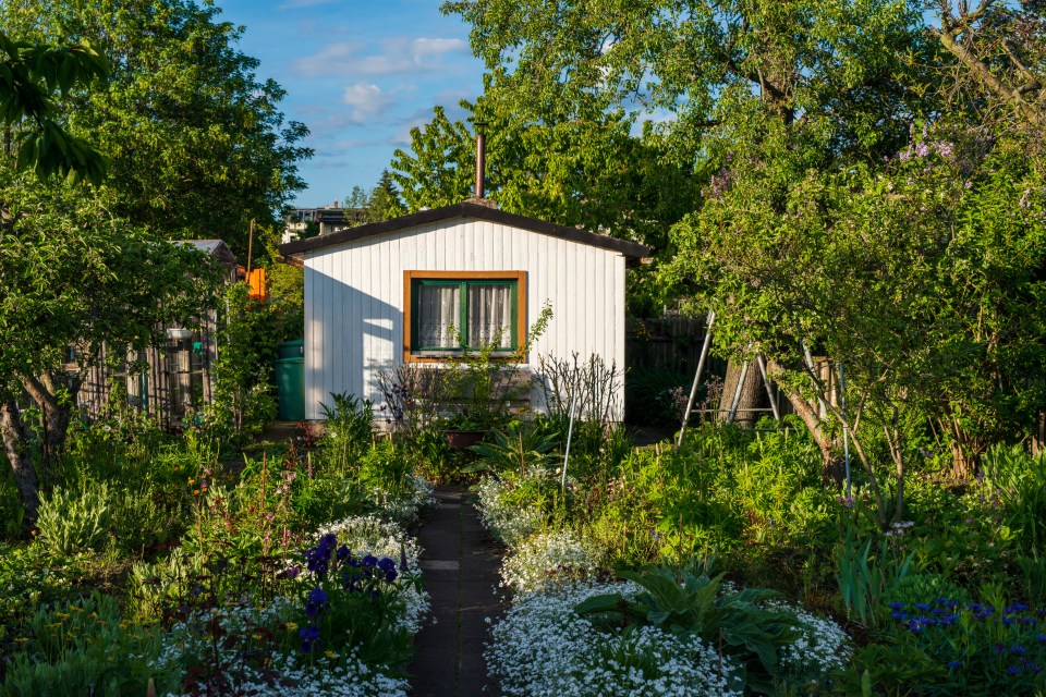 Looking after your shed is vital