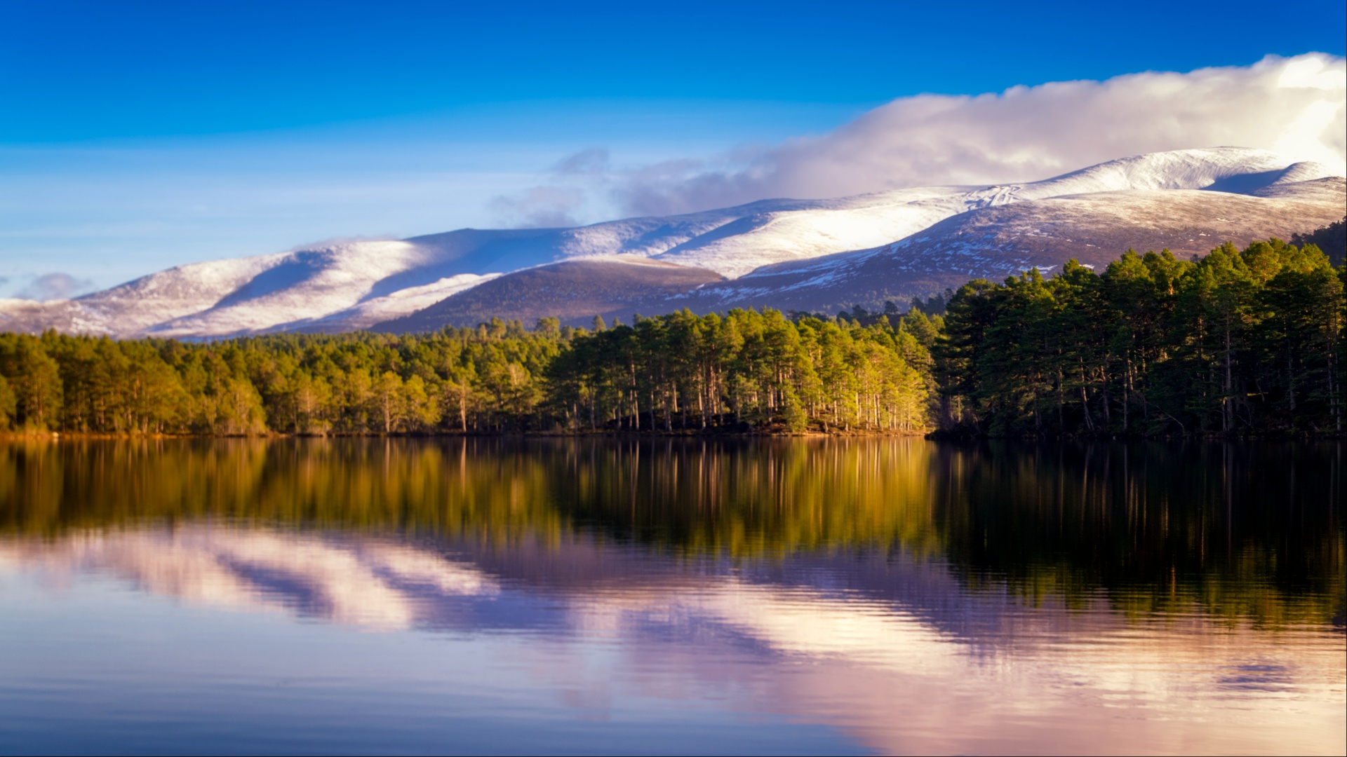 Top 10 last-minute winter breaks in Scots national park - from historic hotels & glamping pods to self-catering gems